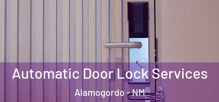 Automatic Door Lock Services Alamogordo - NM