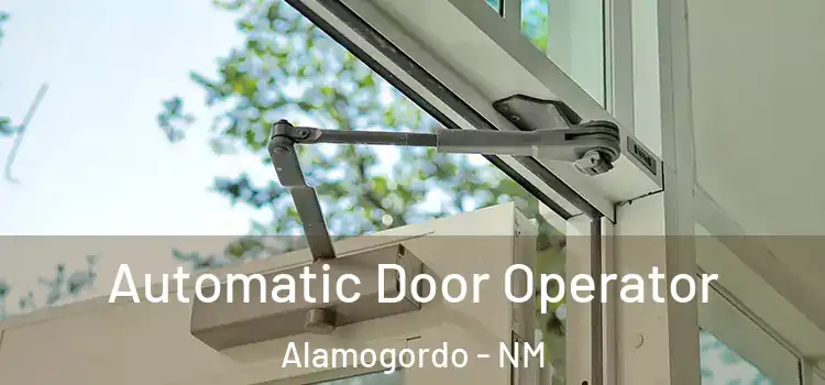 Automatic Door Operator Alamogordo - NM