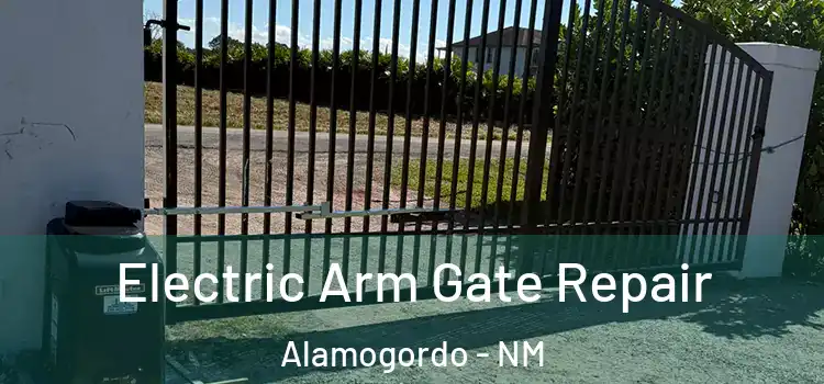 Electric Arm Gate Repair Alamogordo - NM