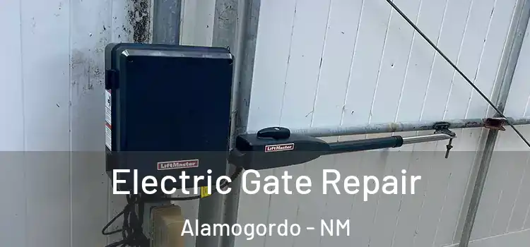 Electric Gate Repair Alamogordo - NM