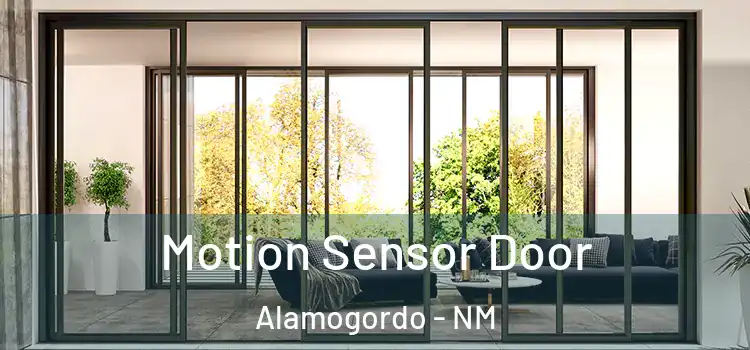 Motion Sensor Door Alamogordo - NM